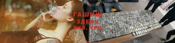 шишки Магас