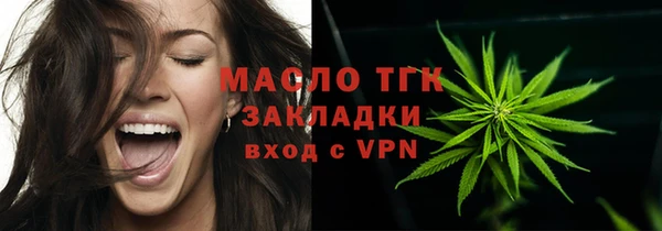 шишки Магас