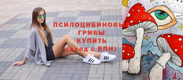 не бодяженный Алексин