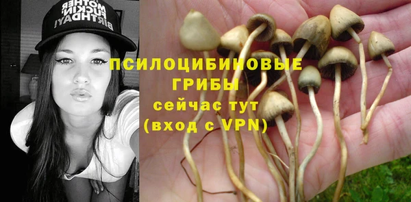 твердый Алексеевка