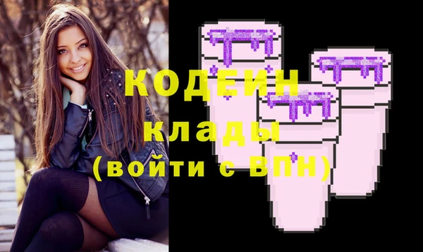 шишки Магас
