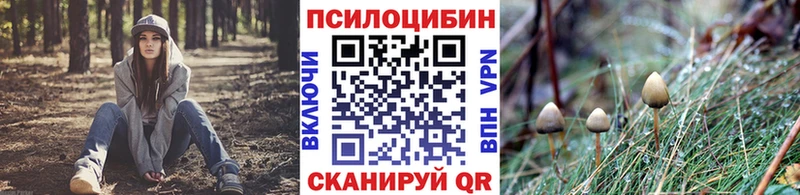 закладки  kraken зеркало  Галлюциногенные грибы прущие грибы  Пермь 